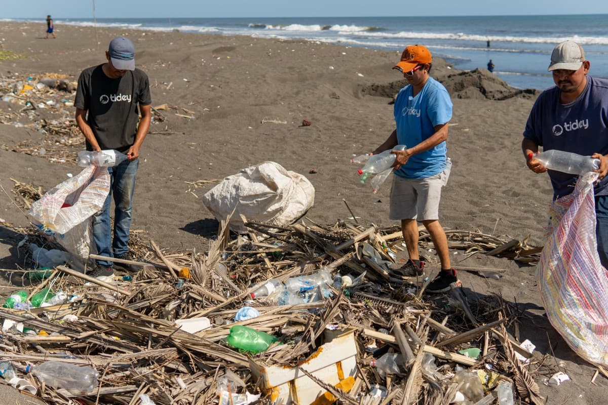 Tidey Ocean crew collecting plastic bottles on the beach